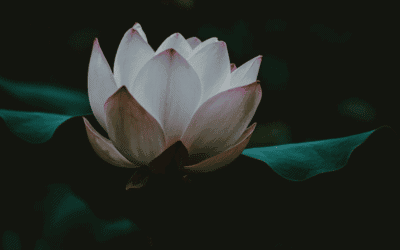 Müssen wir wirklich immer ganz unten ankommen?