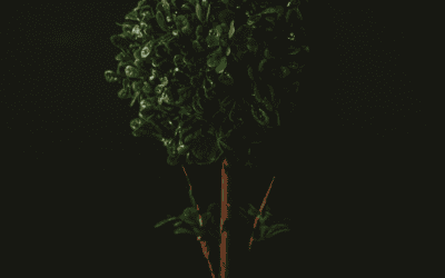 Kontrolle – ein Teufelskreis