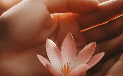 Fürsorge als zarte Blüte der Liebe