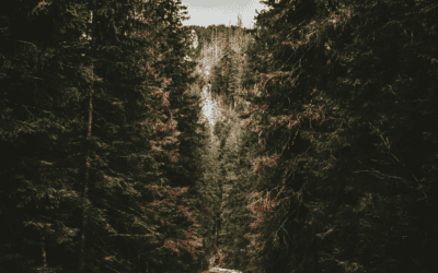 Ehrlichkeit lässt manchen ausflippen