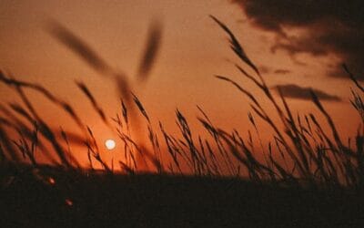 Bewusstsein beginnt im Kopf