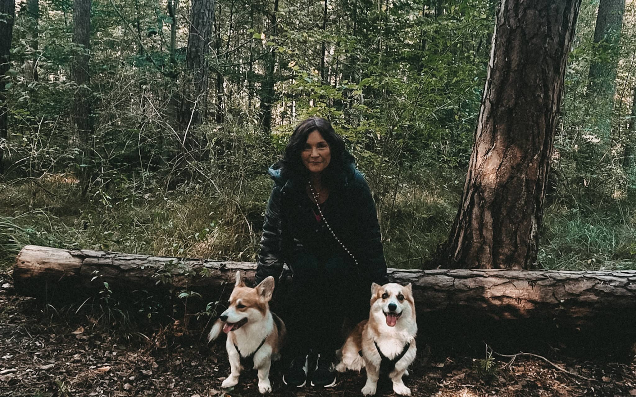 Ich sitze auf einem Baumstamm, neben mir meine beiden Corgis Oscar und Carlo