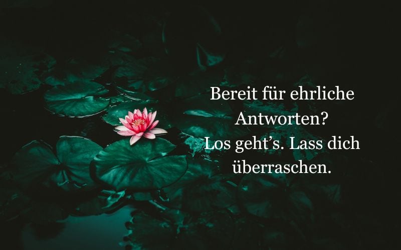 Dein Abschnittstext (1) Lotus rot auf dunklem Gewässer