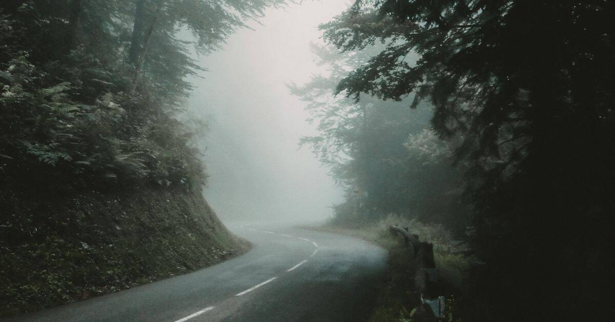 Leere Sraße im Nebel bei Morgengrauen durch den Wald