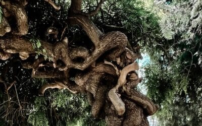 Was du Liebe nennst – und warum sie oft gar keine ist