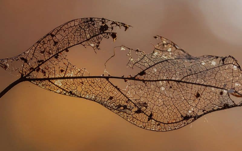 Online-Retreat Nachdenkliche Frau im Dunkeln mit Lichterkette – Symbol für Hoffnung in der Nacht.