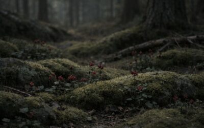 Warum das Leben jetzt durch den Körper spricht