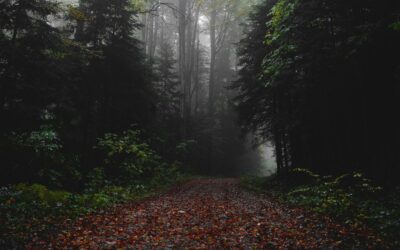 Du bist nicht hier um fertig zu werden